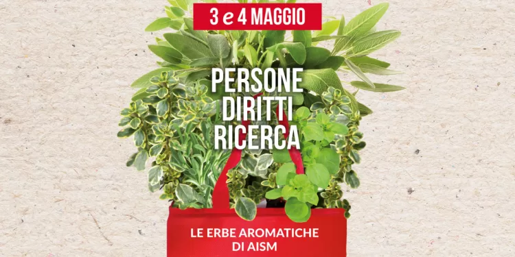 Aism - Erbe Aromatiche