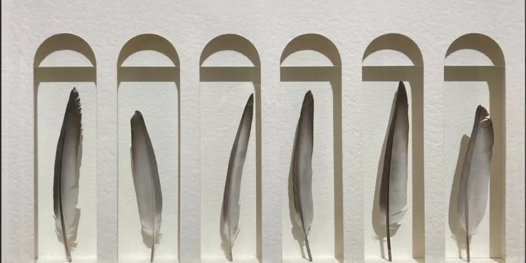 Igino Panzino "Inventari"