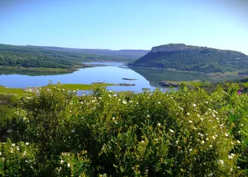 Villanova Monteleone