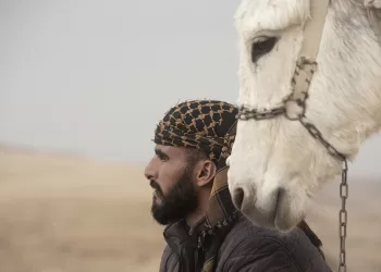 Un'immagine del documentario “Abele” del cineasta sassarese Fabian Volti