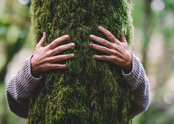 "Ascoltando gli alberi" di Bocheteatro
