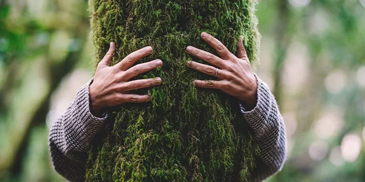 "Ascoltando gli alberi" di Bocheteatro