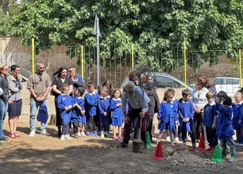 Cagliari, la messa a dimora dell'ulivo in memoria di Leonardo Zucca