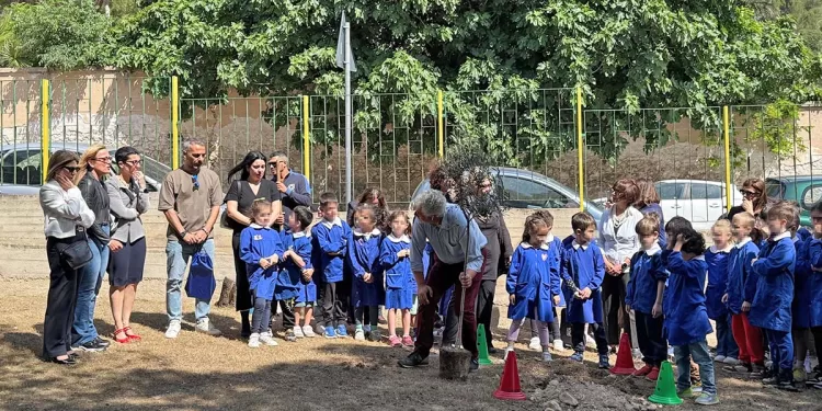 Cagliari, la messa a dimora dell'ulivo in memoria di Leonardo Zucca