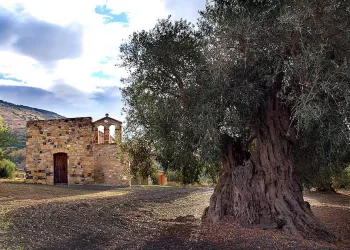 Chiesa di San Domino a Genuri