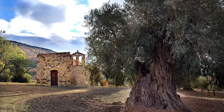 Chiesa di San Domino a Genuri