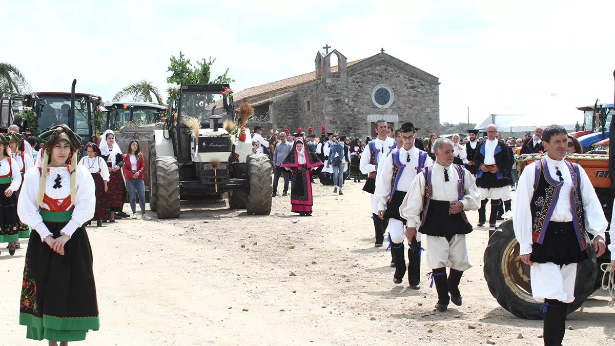 Festa di Sant'Isidoro a Samugheo