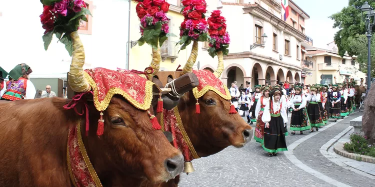 Festa di Sant'Isidoro a Samugheo