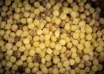 Fregola. ©Depositphotos