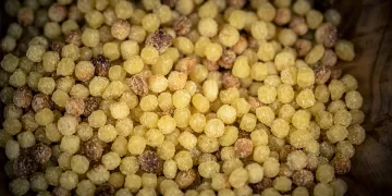 Fregola. ©Depositphotos