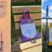 Libri sospesi nei comuni del Coros Figulinas