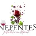 Nepentes 2025