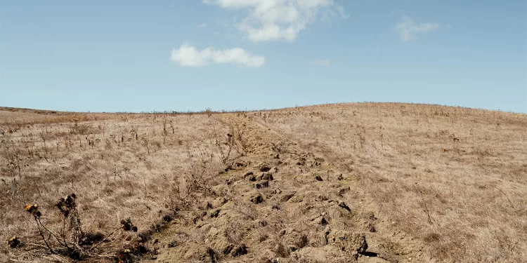 Una foto di Alessandro Toscano
