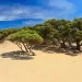 Le dune di Piscinas nella Costa Verde. ? AdobeStock | Antonio Scarpi
