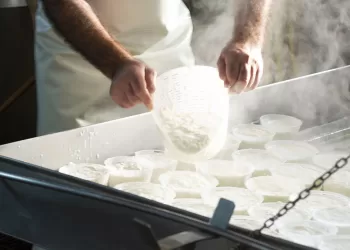 Produzione della ricotta. 📷 Depositphotos