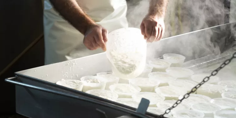 Produzione della ricotta. ? Depositphotos