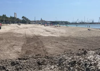 Pulizia della spiaggia di San Giovanni ad Alghero
