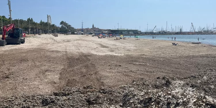 Pulizia della spiaggia di San Giovanni ad Alghero