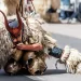 Cavalcata Sarda 2013. Maschera dei boes di Ottana. (ortolani). Foto Francesco Merella