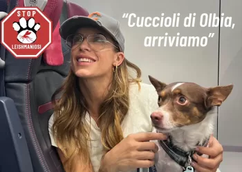 Elisabetta Canalis