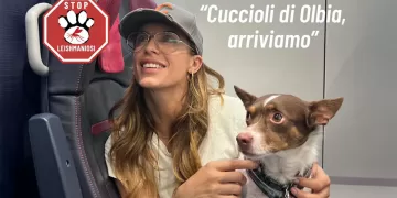 Elisabetta Canalis