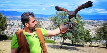 Falconiere. 📷 Facebook @caminos.experience