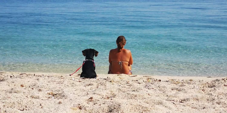 L'area della spiaggia di Fiume Santo riservata ai bagnanti con cani