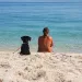 L'area della spiaggia di Fiume Santo riservata ai bagnanti con cani