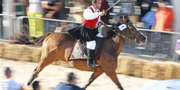 Palio di Santu Bainzu. 📷 Alberto Masala