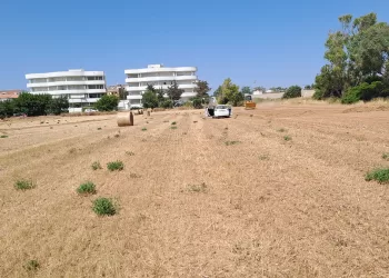 Alghero, nuovo parcheggio da 400 posti auto lungo viale Primo Maggio