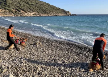 Cani da salvamento in azione a Mari Pintau