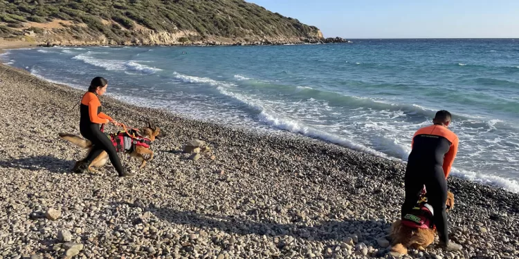 Cani da salvamento in azione a Mari Pintau