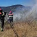 Corpo Forestale della Sardegna