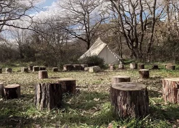 Il bosco di Ocra Badu Canu ad Osilo