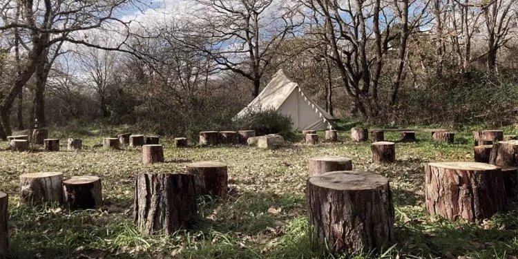 Il bosco di Ocra Badu Canu ad Osilo