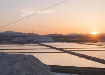 Tramonto alle Saline Conti Vecchi di Assemini. ? Manuela Meloni | FAI