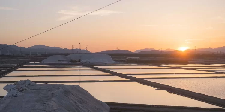 Tramonto alle Saline Conti Vecchi di Assemini. ? Manuela Meloni | FAI