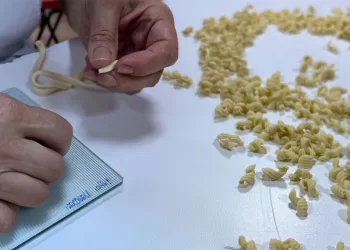 Sos Ciccioneddos di Codrongianos