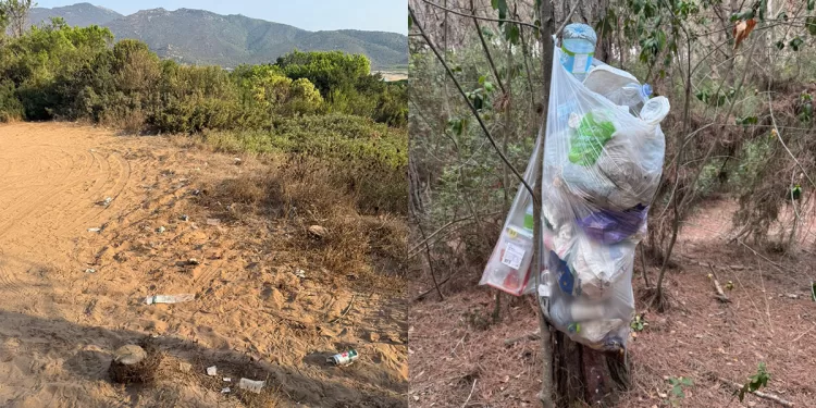 Mondezza nella pineta tra Porto Ferro e il Lago di Baratz