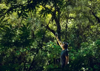 Alessandro Olla "Soundscapes". ? Sara Deidda