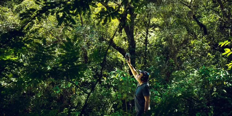 Alessandro Olla "Soundscapes". ? Sara Deidda