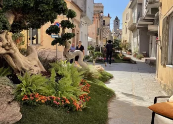 Estate in Fiore ad Arzachena