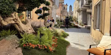 Estate in Fiore ad Arzachena
