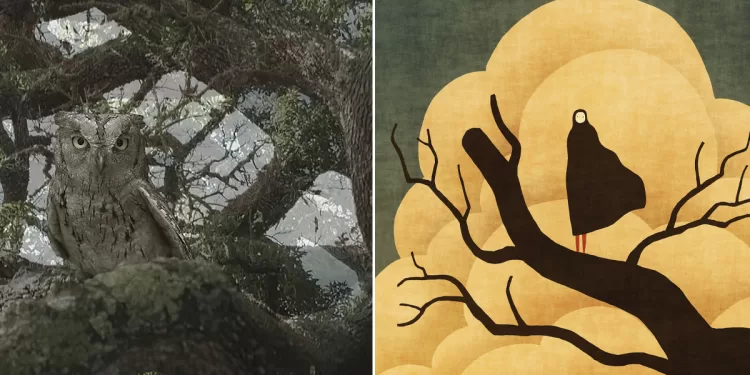 Flatform, un frame da "Storia di un Albero" e Toni Demuro "Sentinel" (2024)