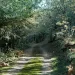 Foresta Burgos. ? regione.sardegna.it
