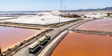 Saline Conti Vecchi, Assemini (CA). ? Alberto Masala | © FAI - Fondo Ambiente Italiano