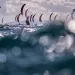 Uno show di vele e onde sul Golfo degli Angeli. ? IKA Media | Robert Hajduk