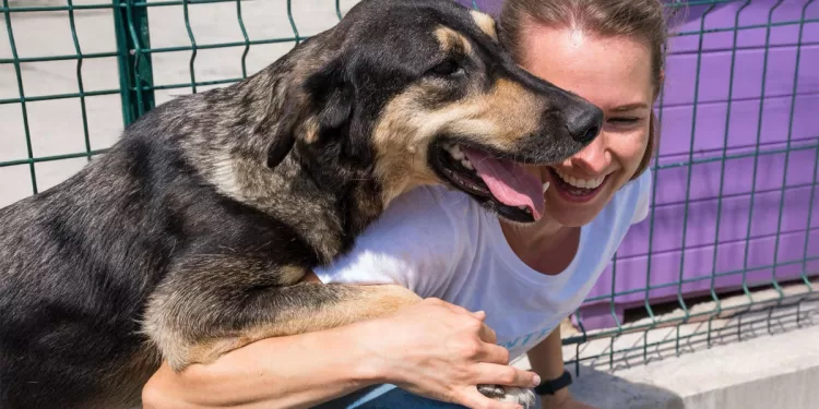 "Adotta un cane dal canile" Quartu
