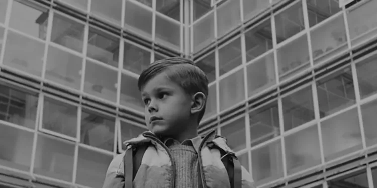 “Cats” di Danilo Stanimirović