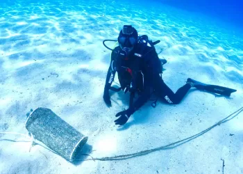 Fishing for the Planet